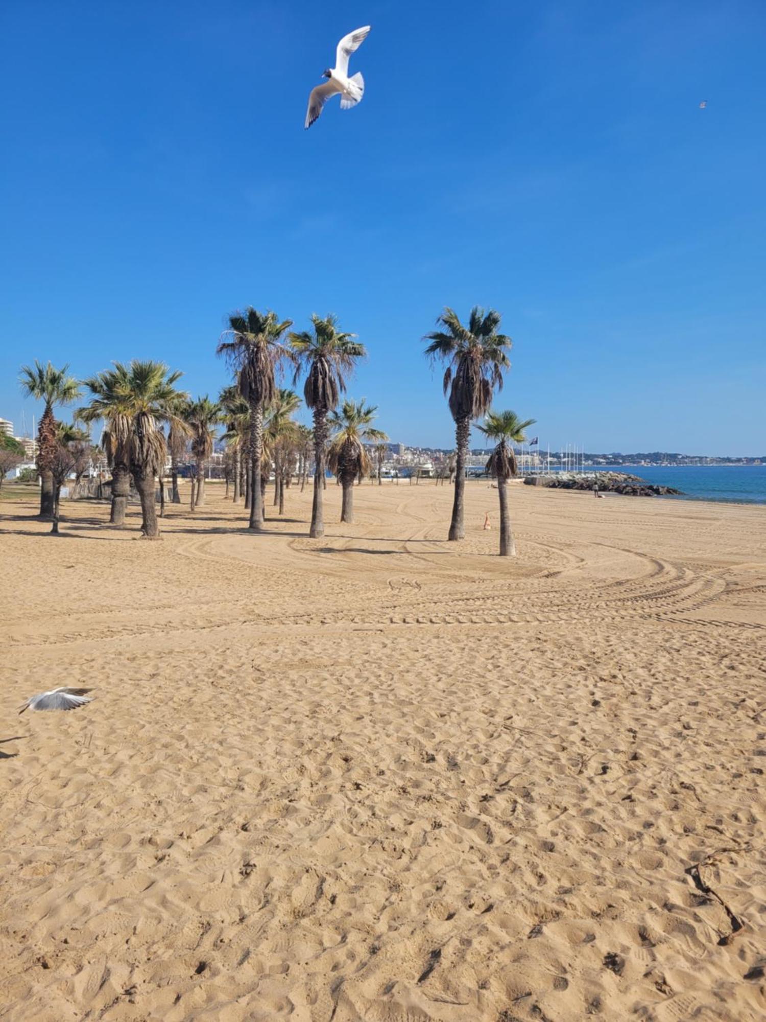 A 2 Pas De La * Fréjus